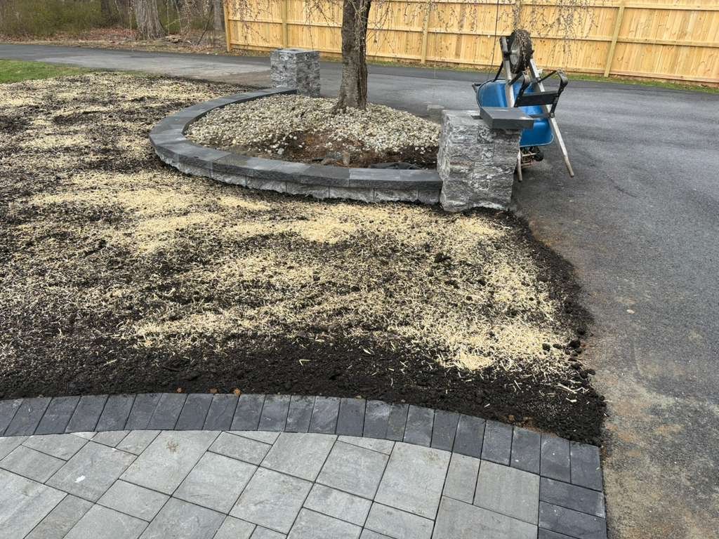 whatsapp image 2026 02 17 at 2.36.55 pm (7)