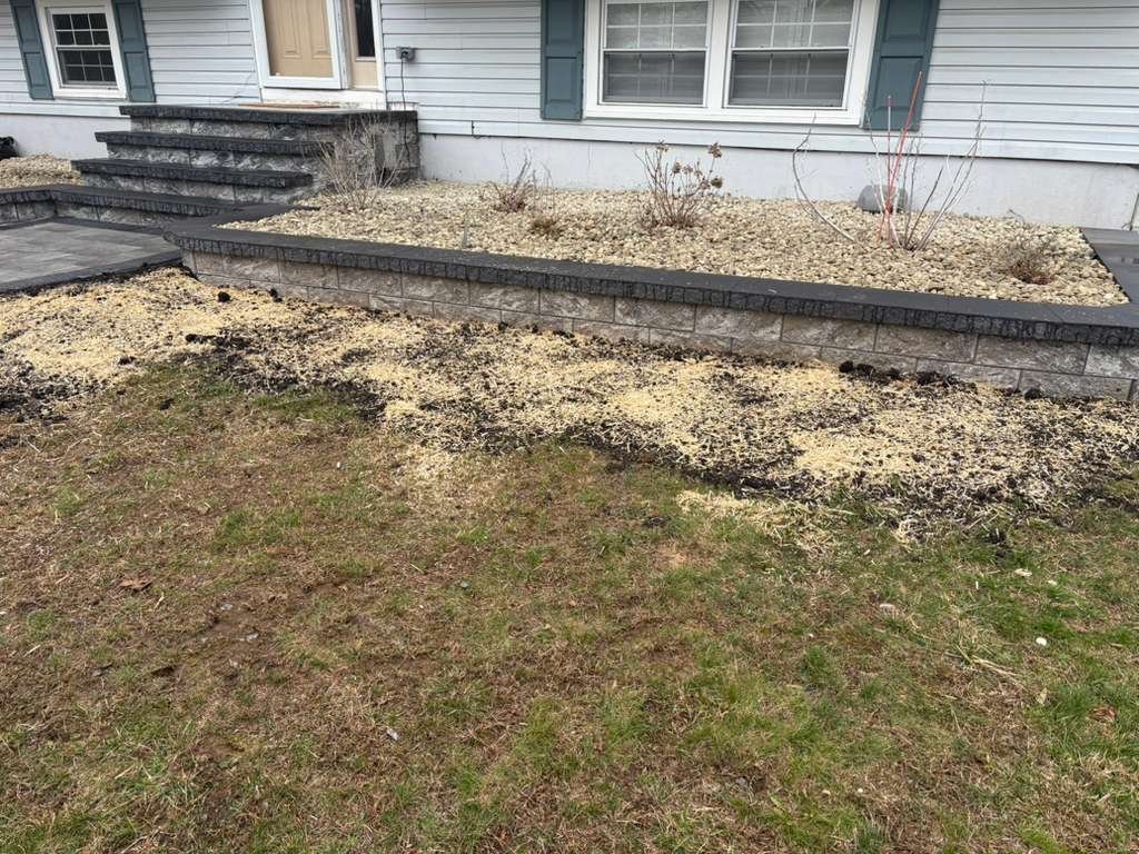 whatsapp image 2026 02 17 at 2.36.55 pm (8)