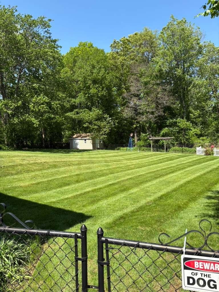 whatsapp image 2026 02 17 at 2.36.57 pm (1) whatsapp image 2026 02 17 at 2.36.57 pm (1)